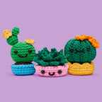 We'll Never Desert You Bundle